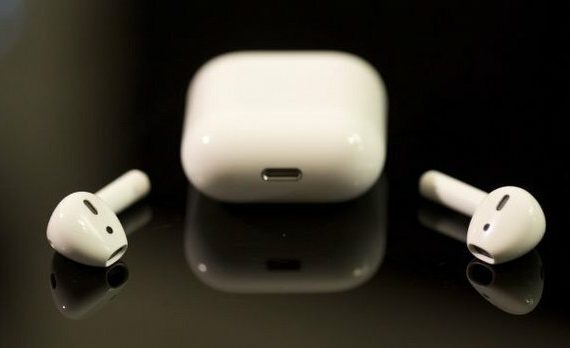 Ukrayna Dan Turkiye Ye Evcil Hayvan Nasil Goturulur Mert Kahya Ukrayna Dan Turkiye Ye Evcil Hayvan Nasil Goturulur Mert Kahya