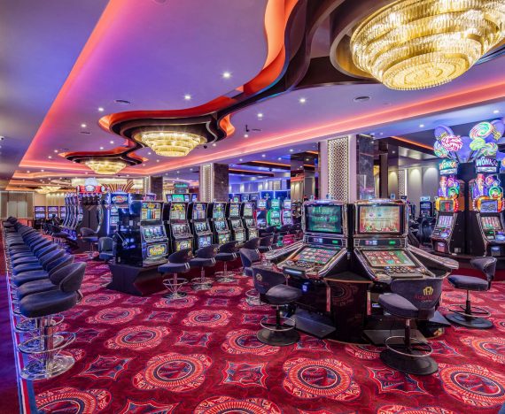 Ukrayna Dan Turkiye Ye Evcil Hayvan Nasil Goturulur Mert Kahya Ukrayna Dan Turkiye Ye Evcil Hayvan Nasil Goturulur Mert Kahya